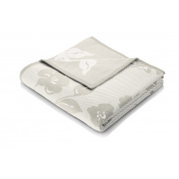 Soft Impression Soft Roses