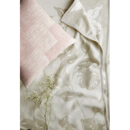 Soft Impression Soft Roses