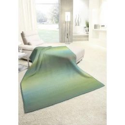 Плед Biederlack Ikat verda