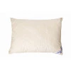Подушка Fresh Collection з льоном 50х70